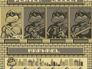 
											Select Your Turtle