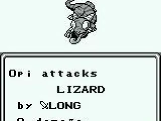 
											The Battle Screen