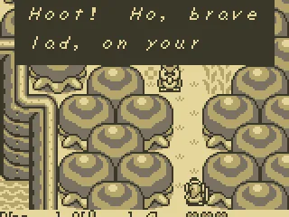 
											The owl gives you advice
