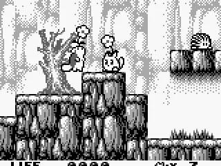
											After picking up a power-up, Flower Yacopu can stun enemies.