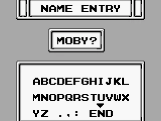 
											Name entry.