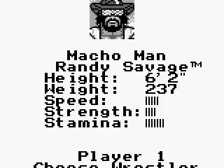 
											Choose Wrestler