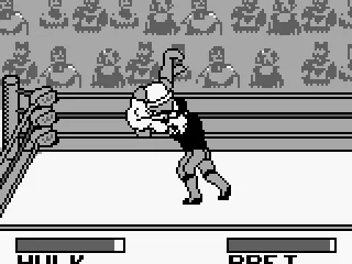 
											Legend fight with Bret and Hulk
