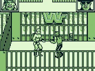 
											Steel cage match
