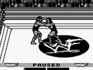 
											Chokeslam!!!