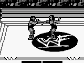 
											Undertaker slap his brother