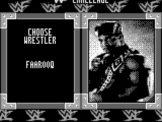 
											Wrestler selection.