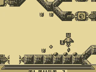 
											Level 5