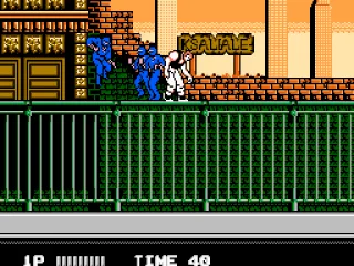 
											Fighting blue ninjas