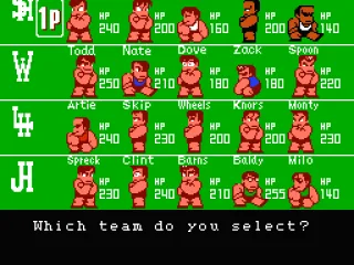 
											Choosing your team