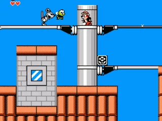 
											Chip and Zipper