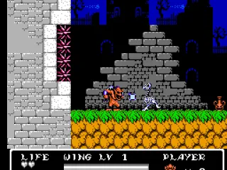 
											Fighting an undead chicken.