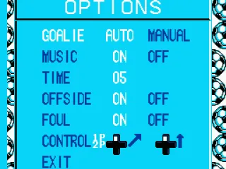 
											Options screen