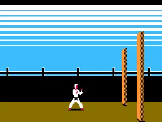 
											I beat the gate guard