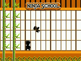 
											who needs to waste time with ninja school education... I got a princess to rescue
