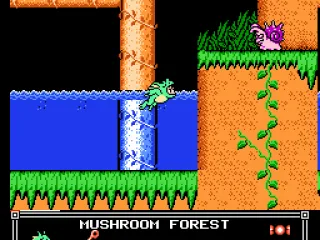
											Little Nemo wearing a frog