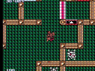 
											Level 2 has red & white blocks that flip around depending on your gravity orientation