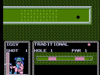 
											Hole in one!