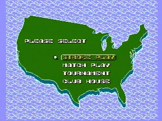 
											Choosing game options