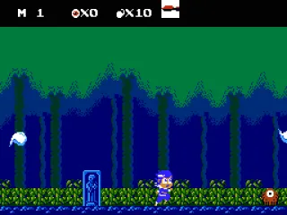
											A forest level