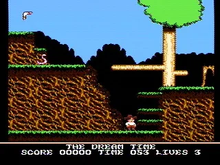 
											Collect boomerangs (Boomerang Kid)