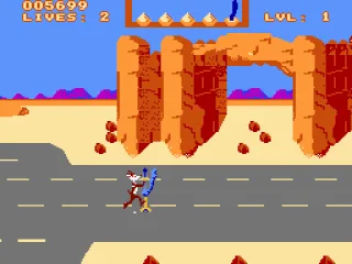 
											Road Runner screenshot 8