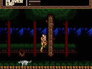 
											Forest wolf