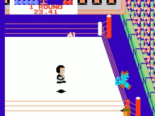 
											Missed Dropkick