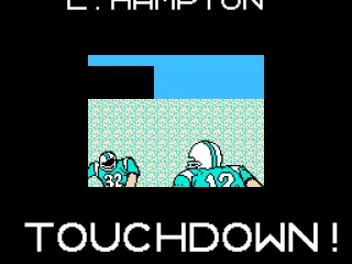 
											Touchdown!