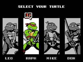 
											Choose Your Ninja Turtle