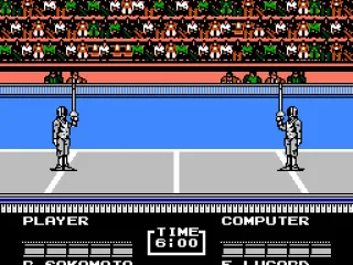 
											Fencing