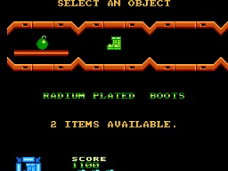 
											Item selection screen.