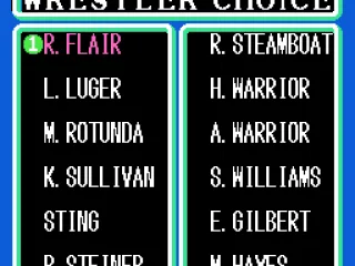 
											Choose your wrestler. Can pick anyone except the mystery WCW Wrestler
