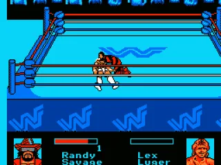 
											Pinning an opponent