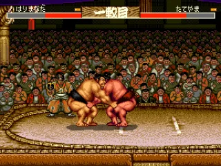 
											Grappling