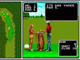 
											Caddie