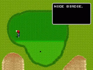 
											Nice Birdie