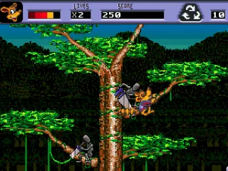 
											Climbing on trees