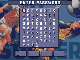 
											Password screen