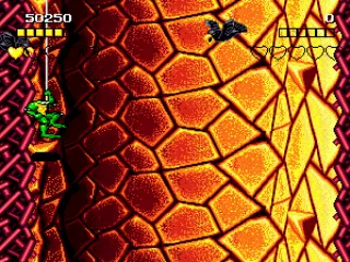 
											Hive level
