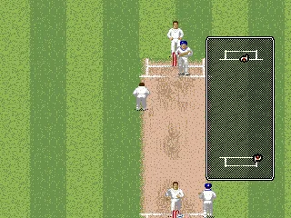 
											On the field