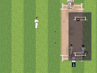 
											Successful hit