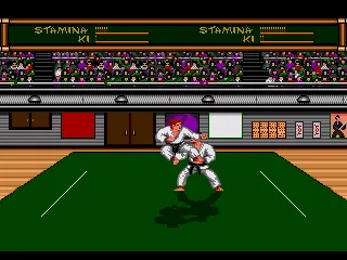 
											Karate fight