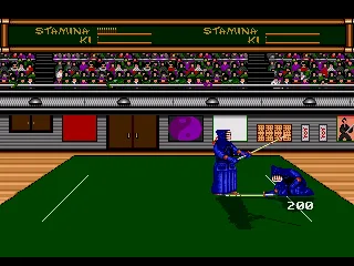 
											Kendo fight