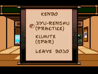 
											Kendo practice