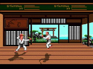 
											Nunchukus Sparring Session