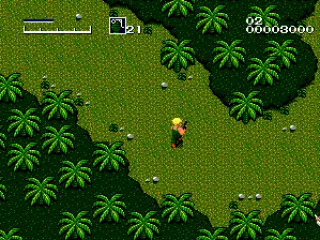 
											Jungle