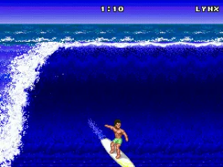 
											Surfing