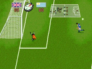 
											The keeper dives.