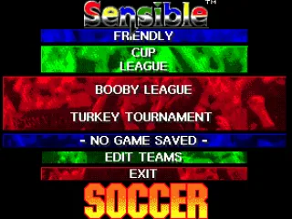 
											Various kinds of tournaments